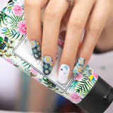 Daisy's and Butterflies