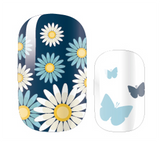 Daisy's and Butterflies