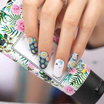 Daisy's and Butterflies
